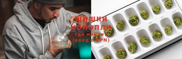 гашик Алзамай