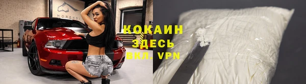 гашик Алзамай
