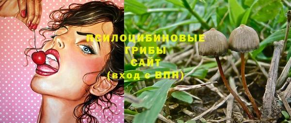 мескалин Алексин