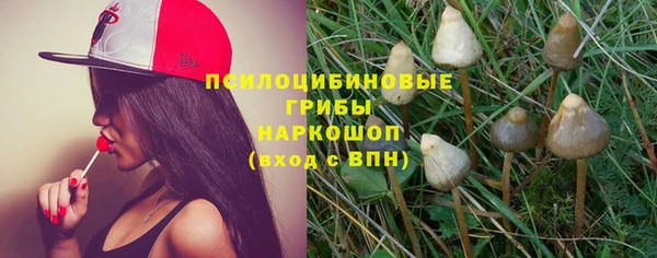 мескалин Алексин
