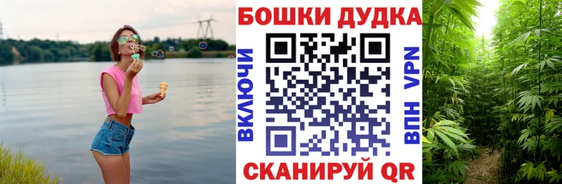 где купить наркоту  Отрадная  Бошки марихуана Amnesia 